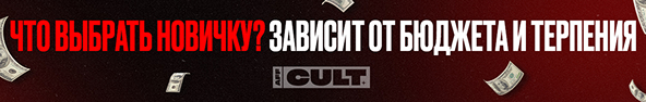 Что выбрать новичку